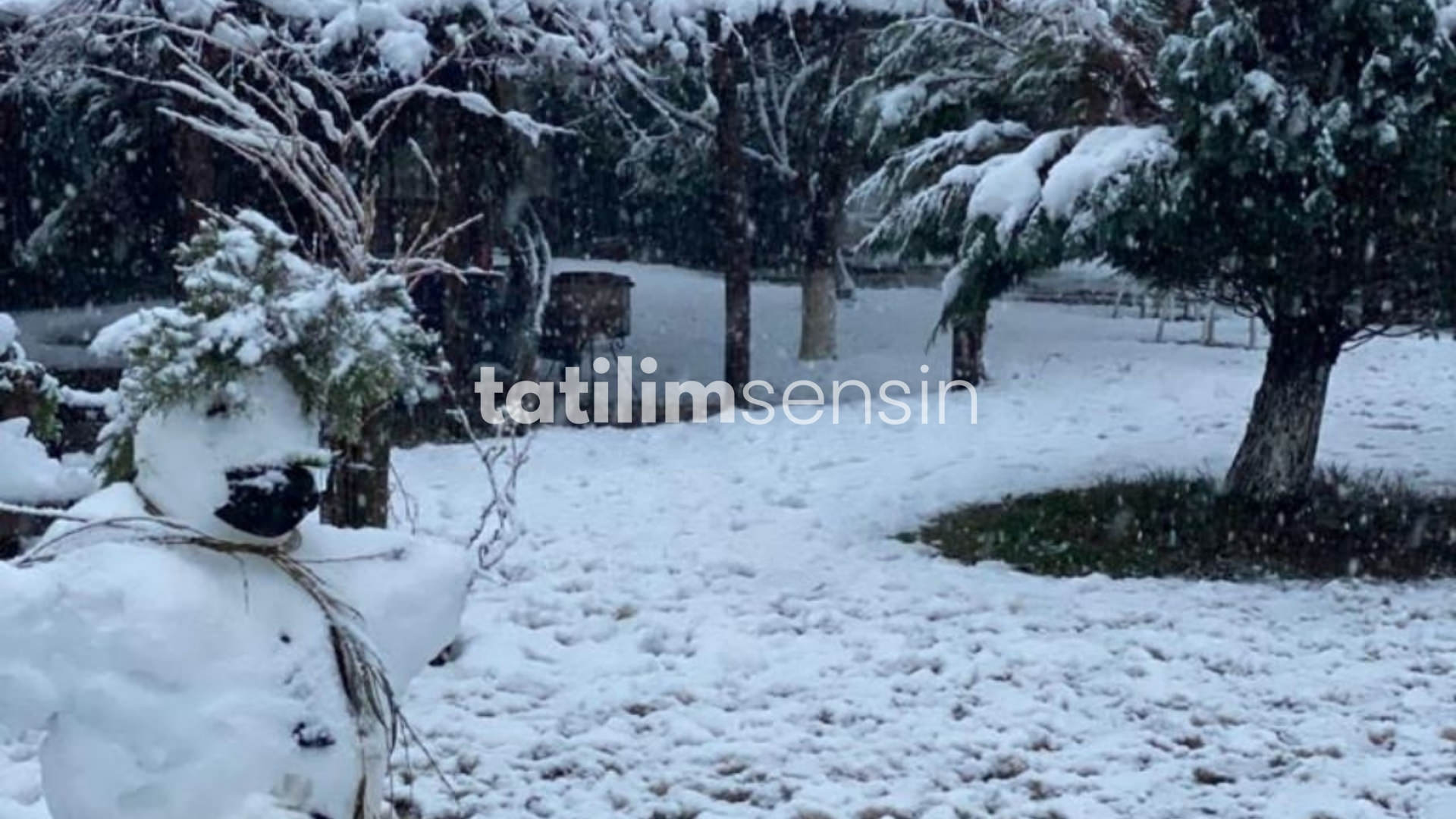 Alex Village Life Otel - 3