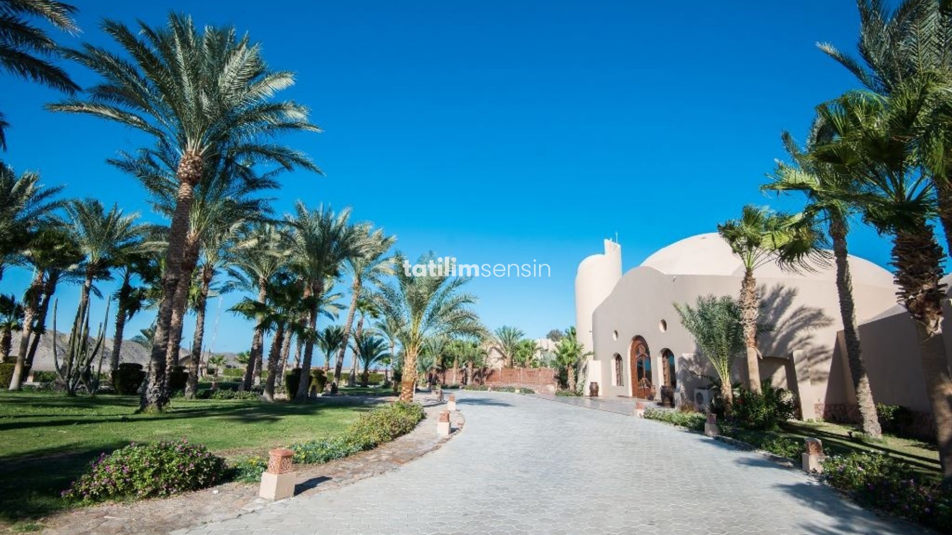 Shams Alam Beach Resort - 17