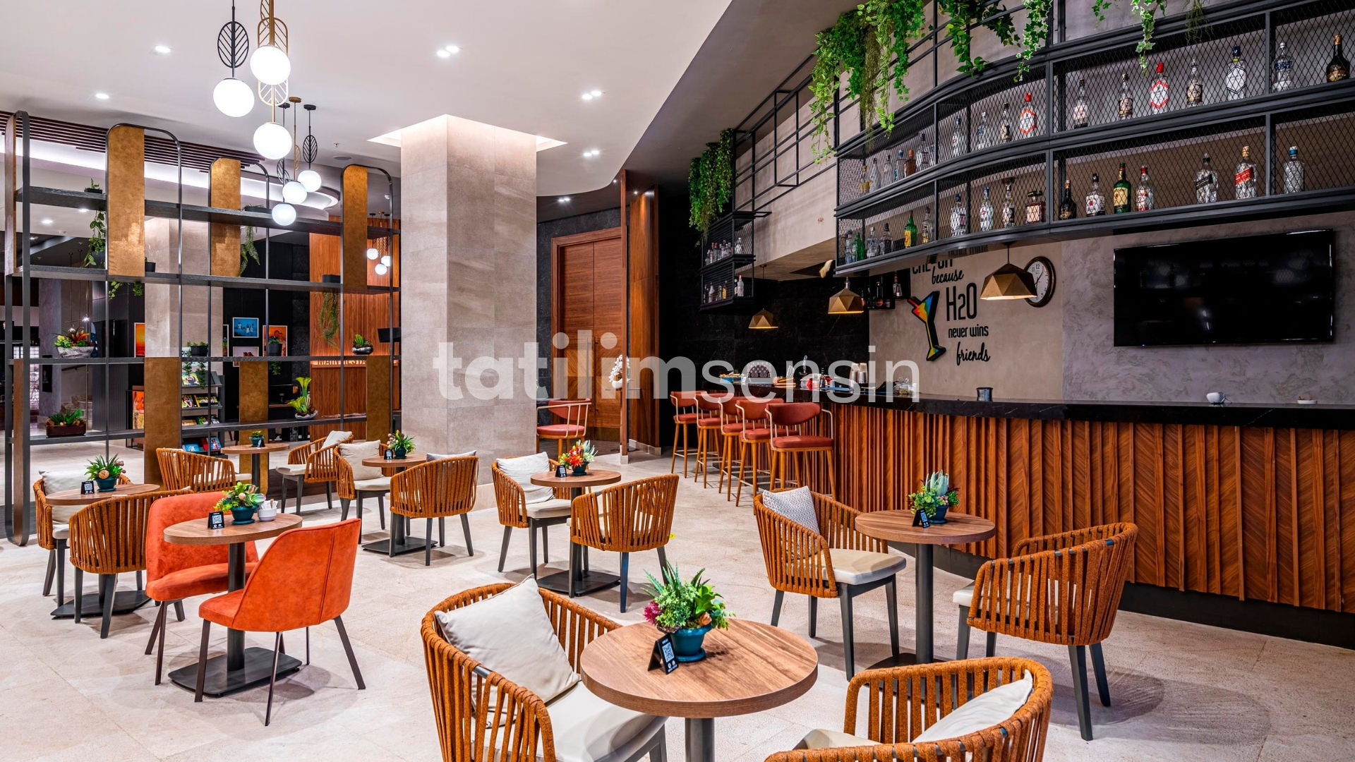 Calyptus Kirman Premium - 14