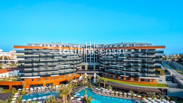 Calyptus Kirman Premium