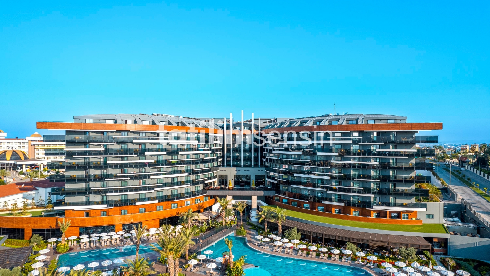 Calyptus Kirman Premium - 1