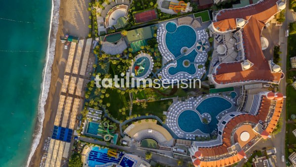 Leodikya Kirman Premium