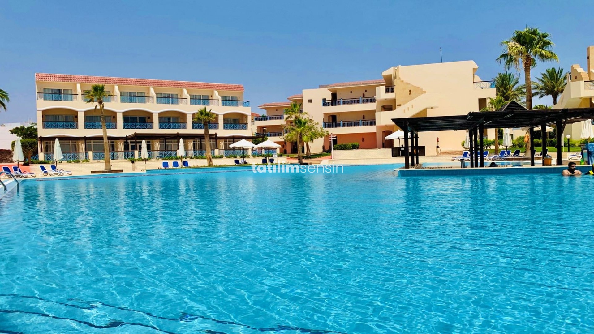 Ivy Cyrene Island - 4