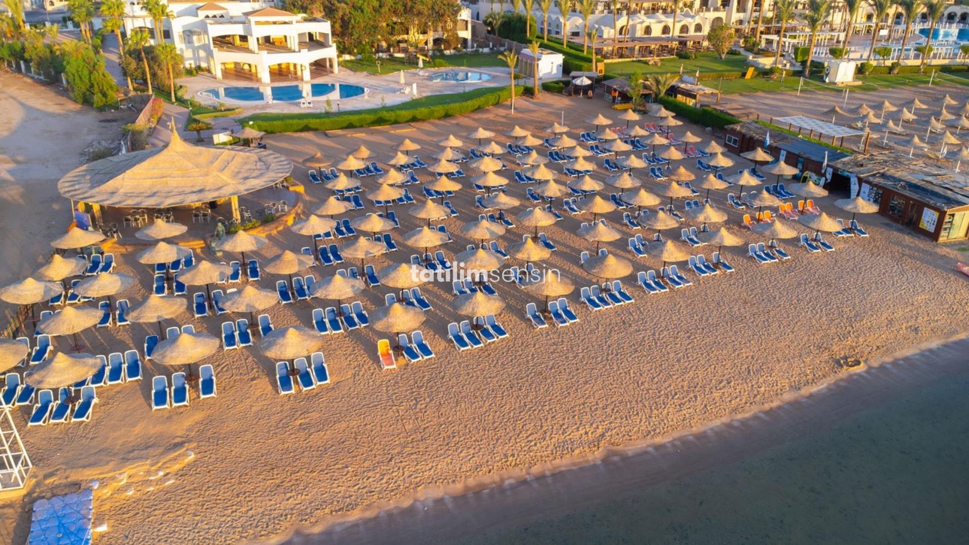 Ivy Cyrene Island - 10