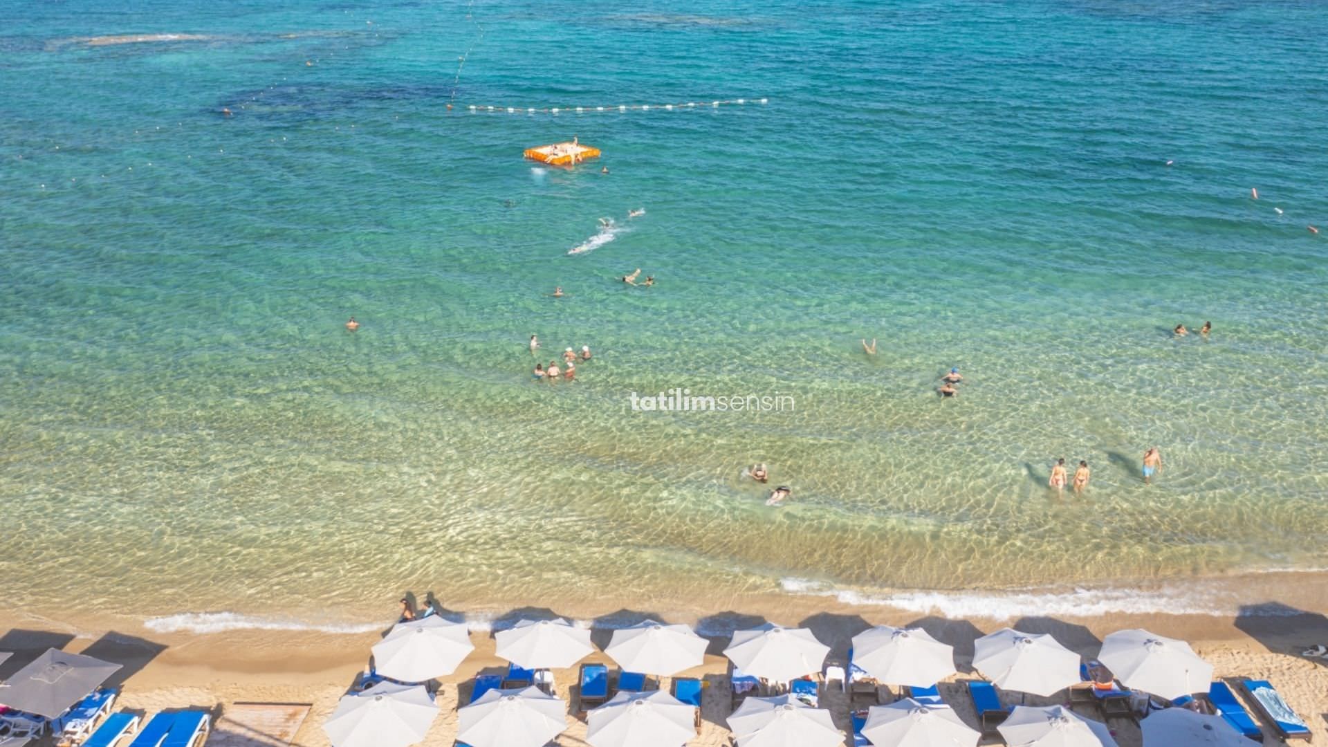 Mimoza Beach Hotel - 7