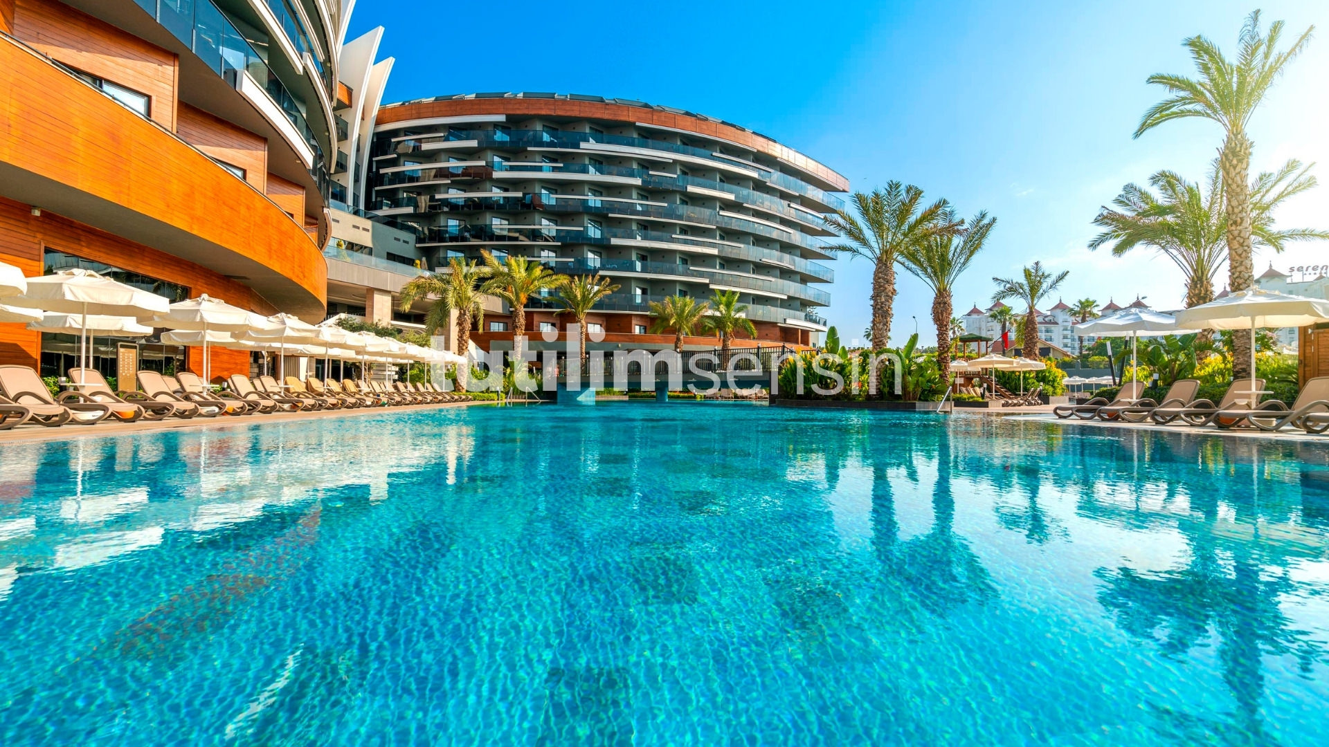 Calyptus Kirman Premium - 5