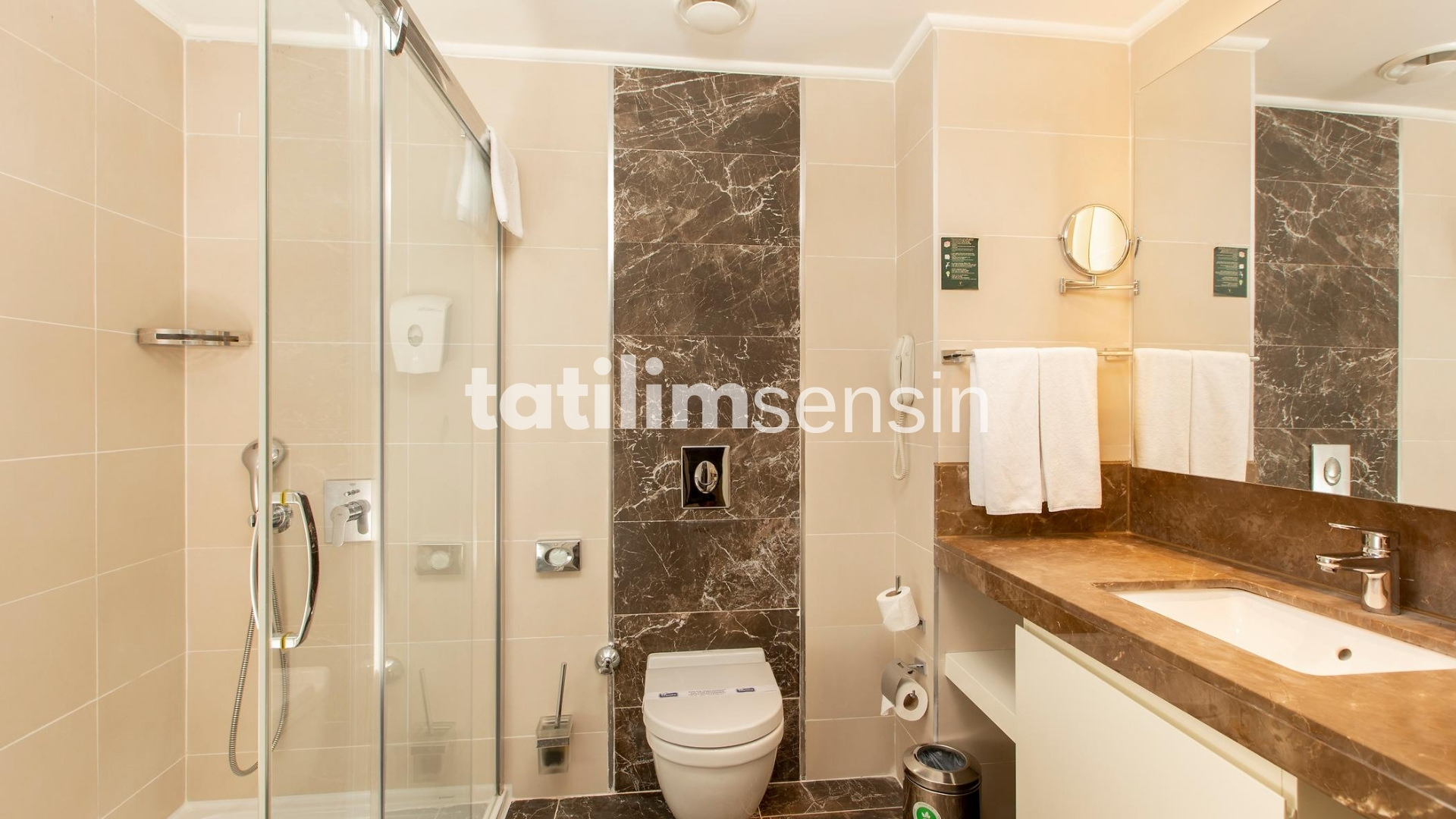 Haydarpasha Palace - 17