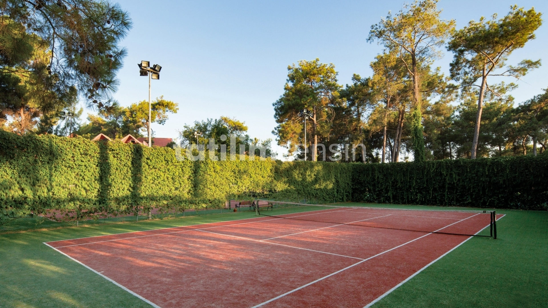 Paloma Sencia Otel - 8