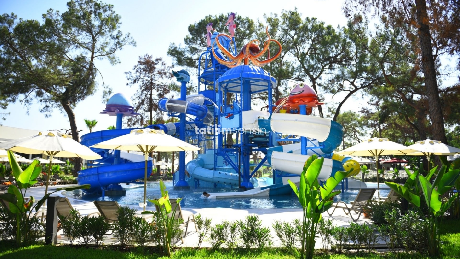 Bergiz Hotels Resorts - 21