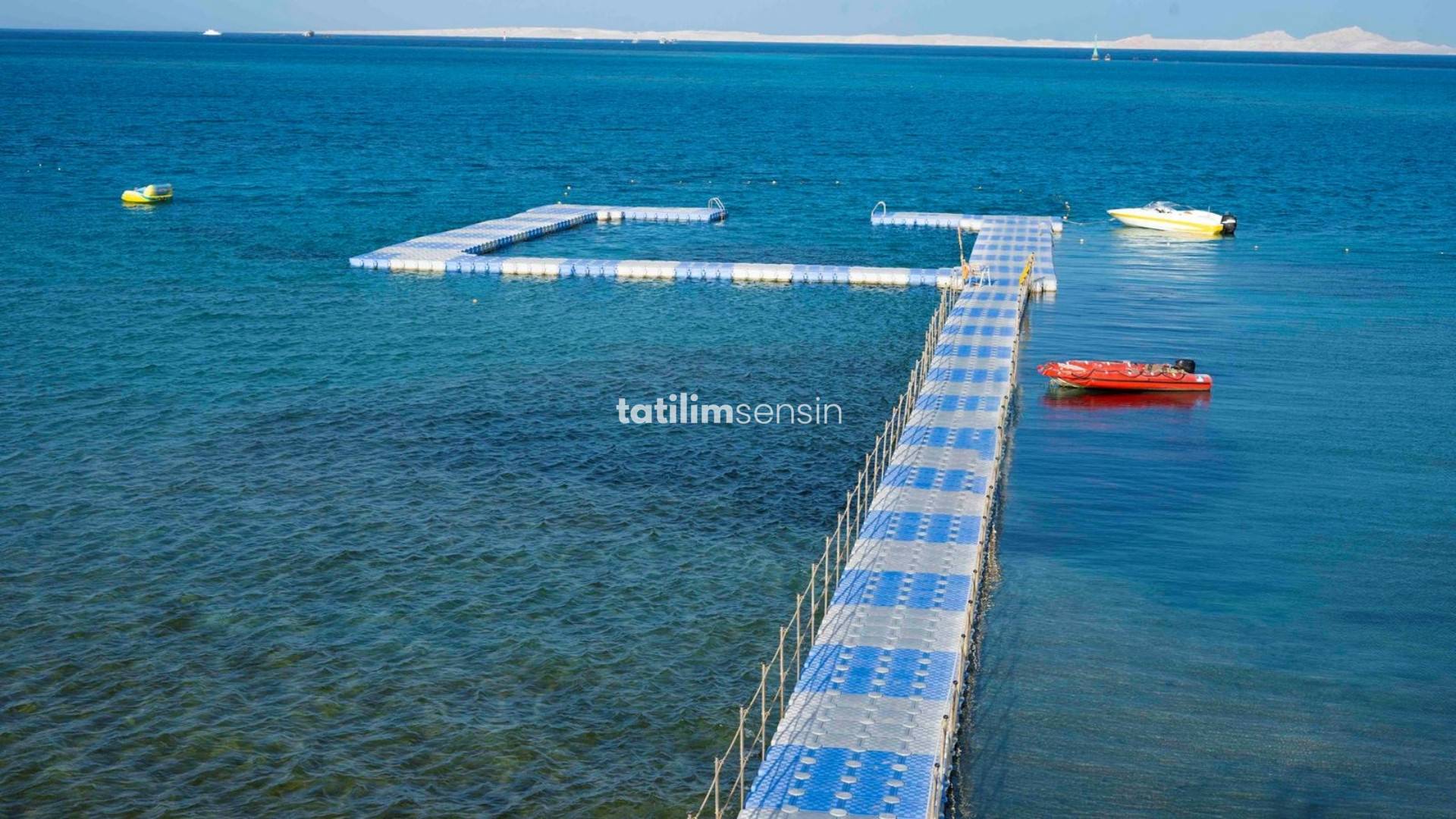 Ivy Cyrene Island - 9