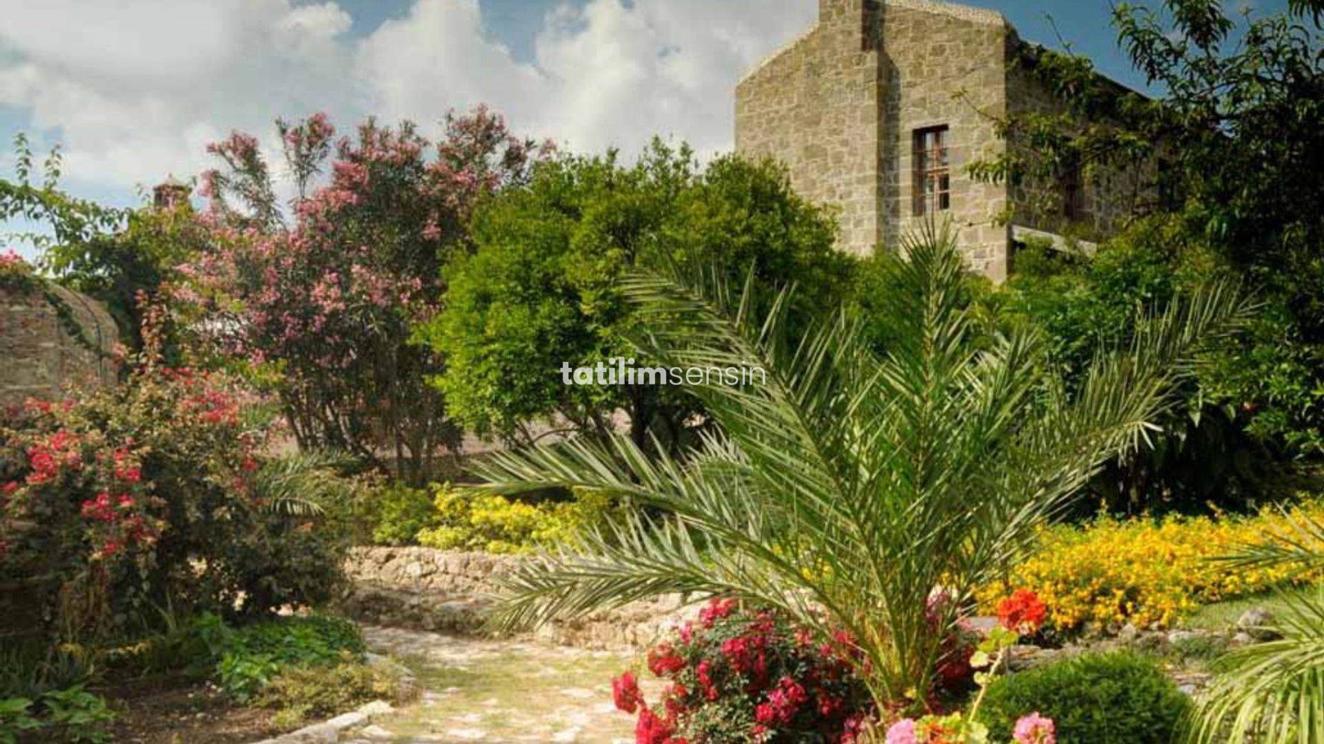 Heritage Homes Mehmet Ali Ağa Konağı - 6