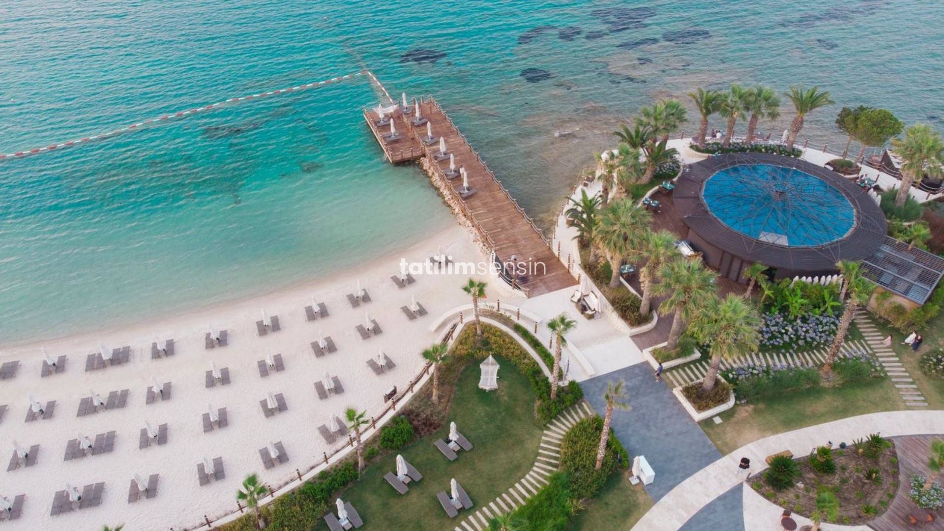 Reges Luxury Collection - 5