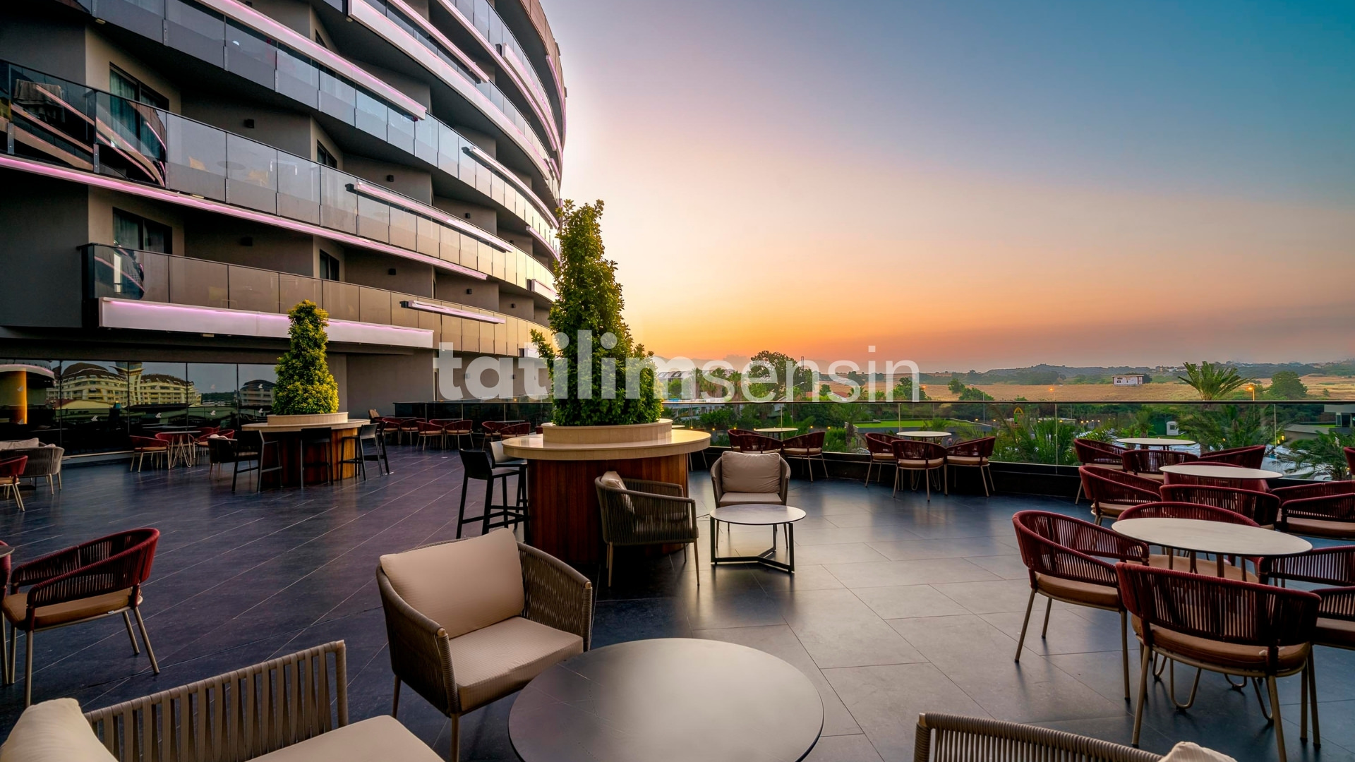 Calyptus Kirman Premium - 6