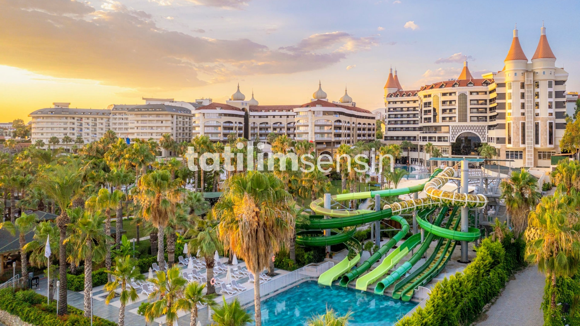 Leodikya Kirman Premium - 8