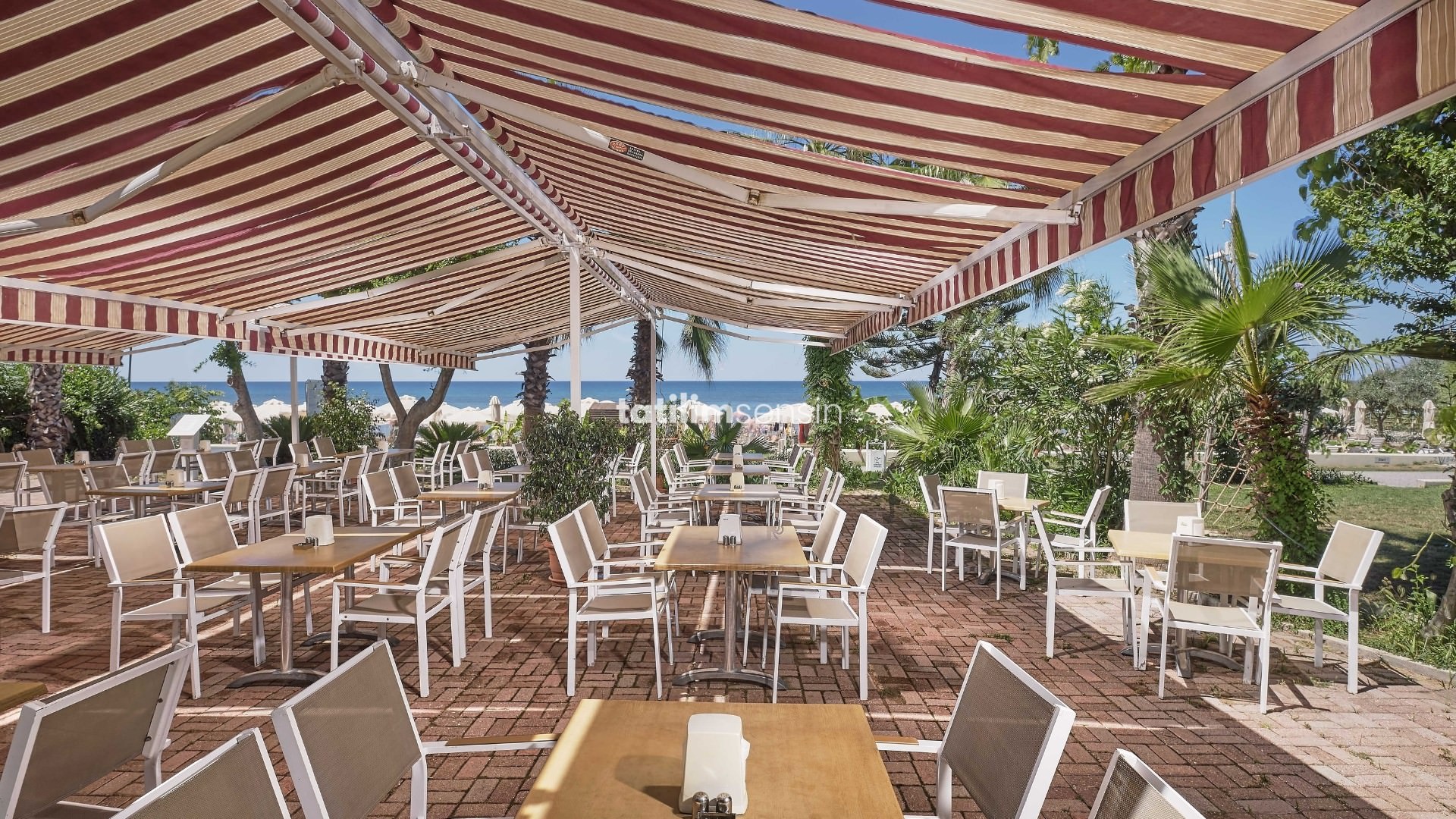 Seaden Corolla Hotel Side - 7