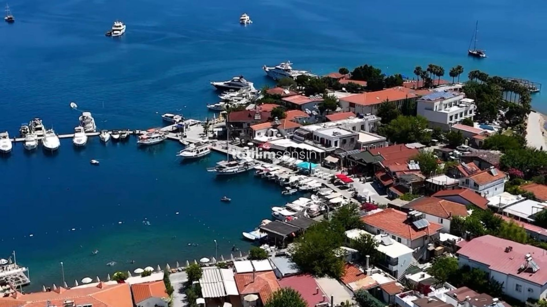 Nevizade Selimiye - 1