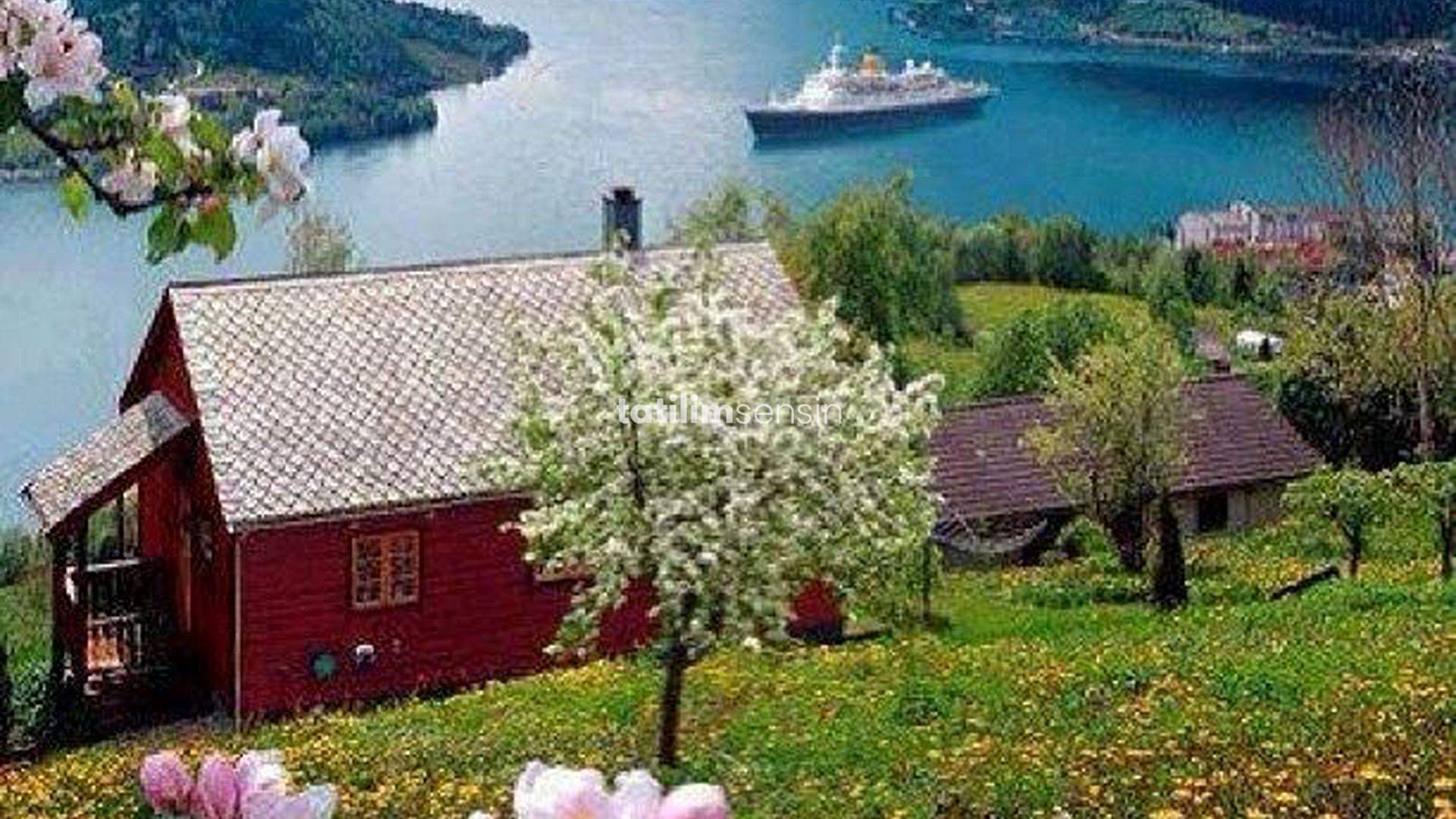 İskandinavya Norveç İstanbul Kalkışlı - 3