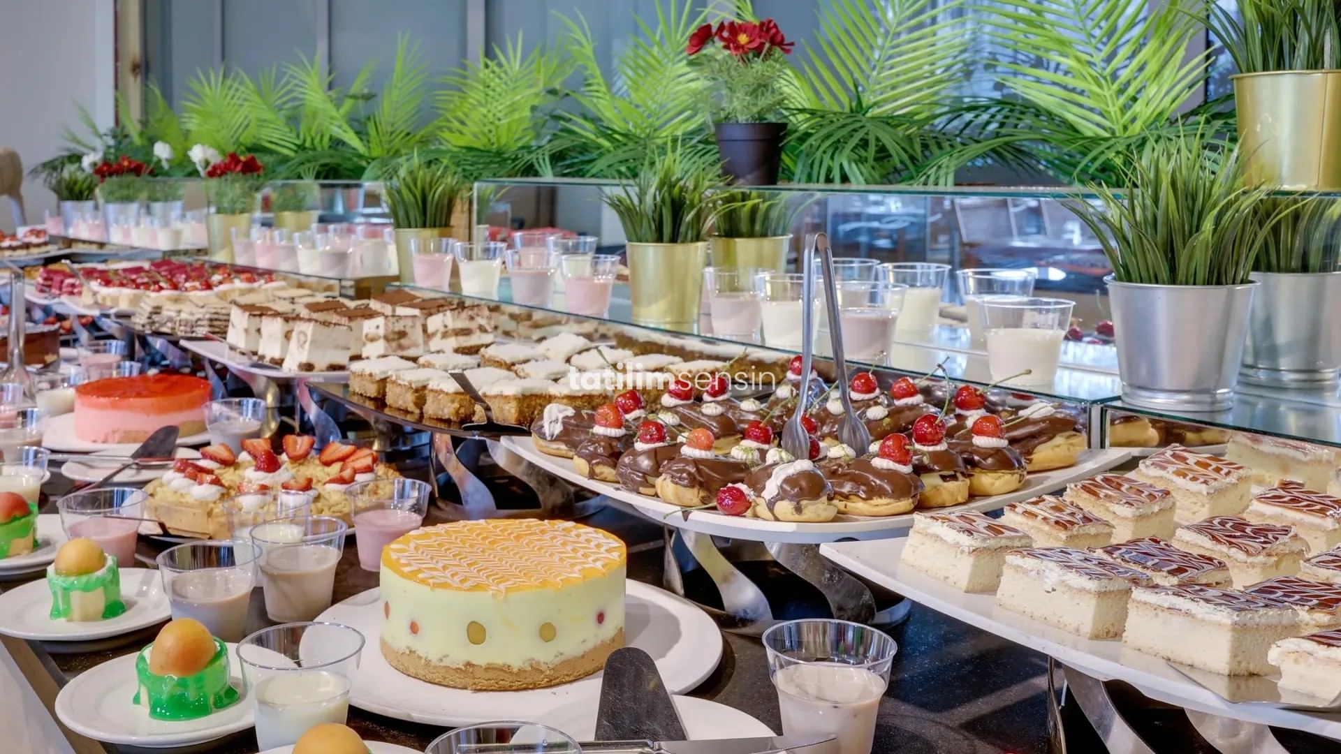 Faros Premium Beach Hotel +16 - 18