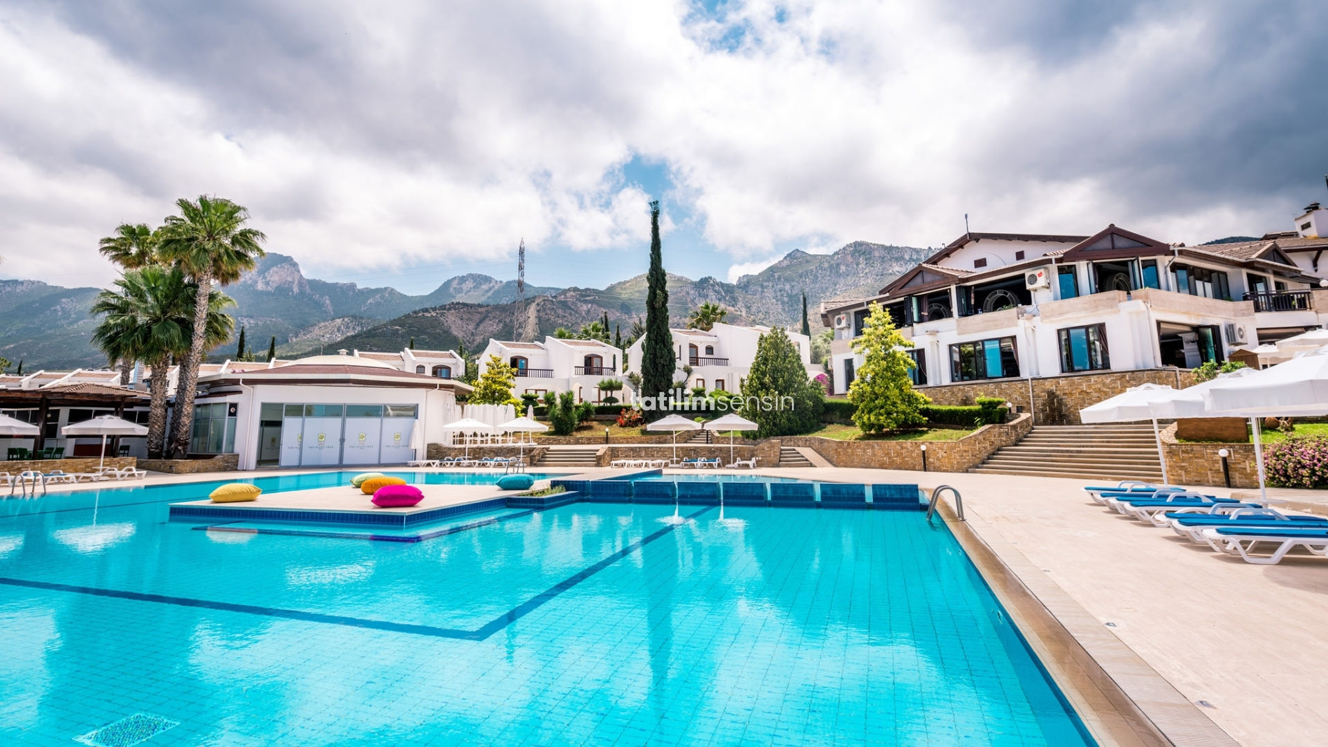 The Hotel Olive Tree - 1